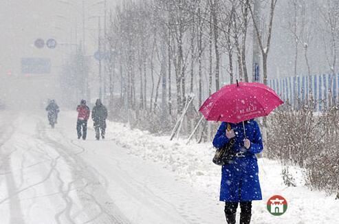 山東24日迎中雪局部大雪 莒縣菏澤暴雪 高速臨時(shí)封閉