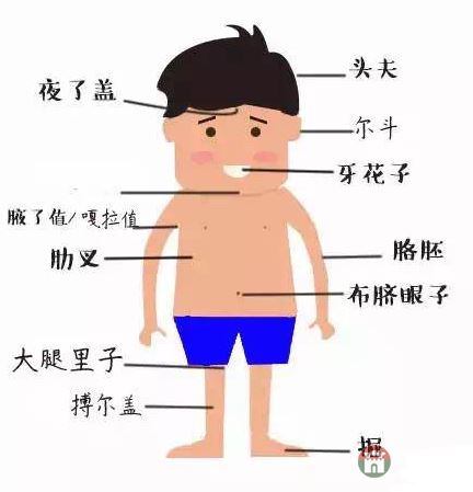 只有莒縣人才能看懂的人體構(gòu)造圖，好深?yuàn)W好羞澀