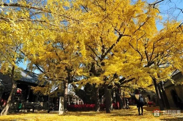 再過幾天，莒縣這個地方要火……先睹為快！