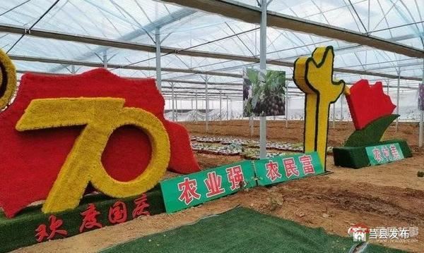 總投資1.2億元！莒縣這個(gè)“后花園”2020年上半年開門納客